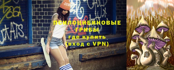 PSILOCYBIN Балахна