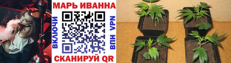 Купить  Светлогорск  Бошки Шишки Bruce Banner 